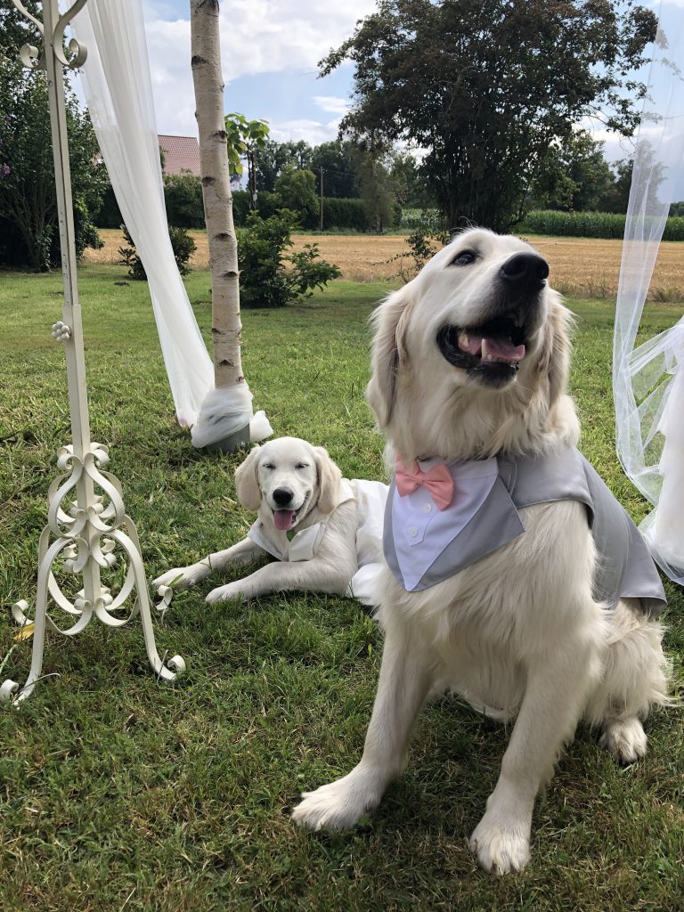 Emma und Nelio, die Ringträger einer Juli-Hochzeit 2025